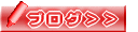 ブログ＞＞ 